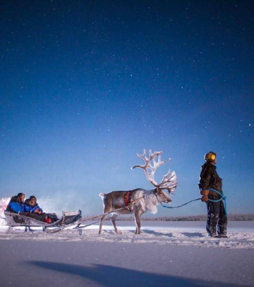Calling Adventure Lovers: Arctic Activities