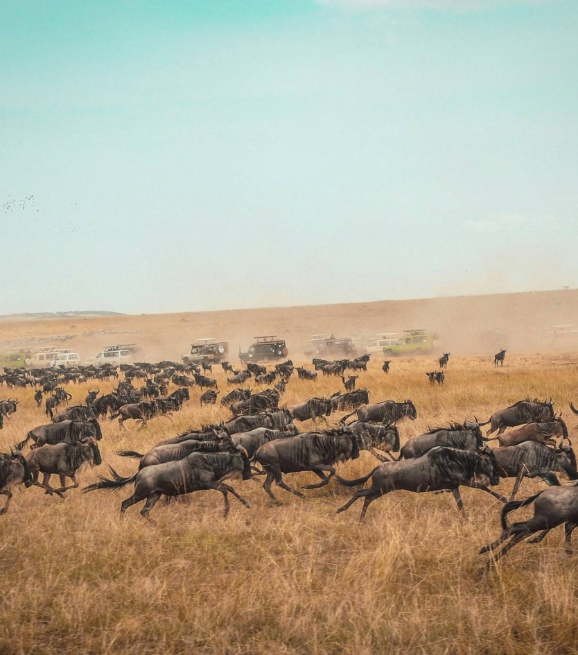 5 Luxury Trips You Should Plan a Year Ahead – According to Our Travel Advisors