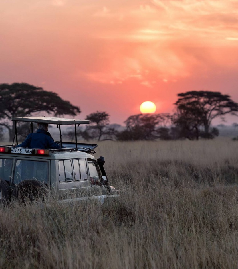 Exceptional Safari Experience